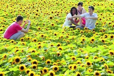 浙师大“一带一路”留学生的汉语缘