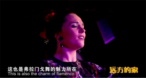 中国电视-品读文化：热情的弗拉门戈