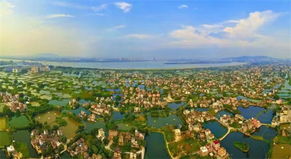 Updates on the Concerted Development of all Districts of Jiangmen City, Guangdong: