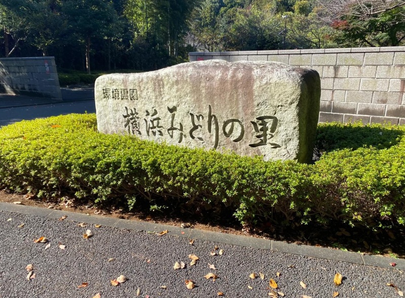 探寻坂井泉水之路，怎么走——谨以此文献给2025-2026中日韩文化交流年