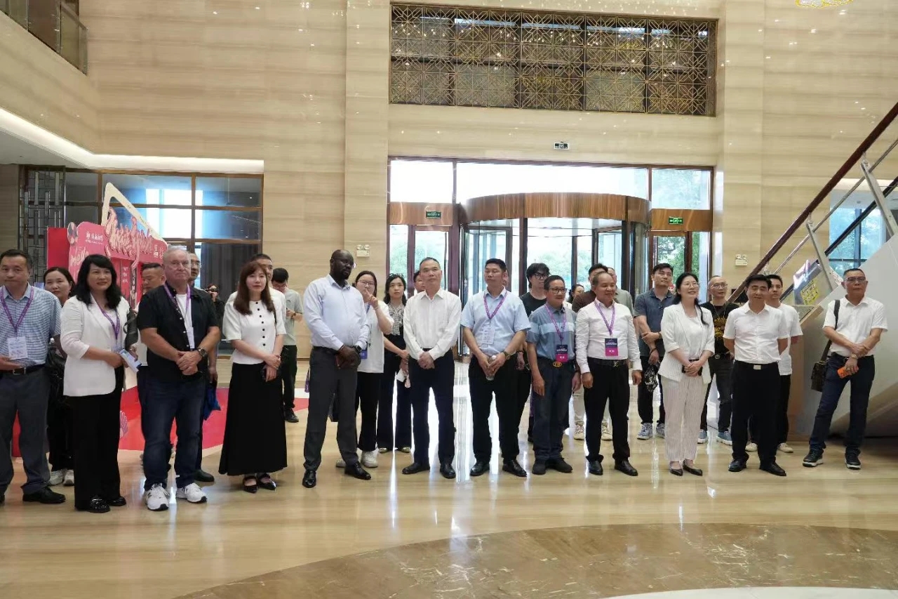 郴州市侨联助力矿博会：侨领侨商考察赋能矿业发展新篇章