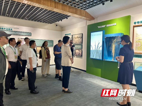 聚焦第五届湖南旅发大会展示点 海外华文媒体深度探访怀化多元文化