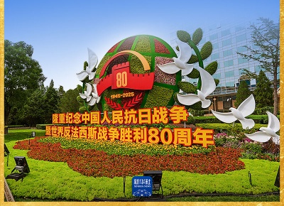 习近平总书记重要讲话，金句来了！