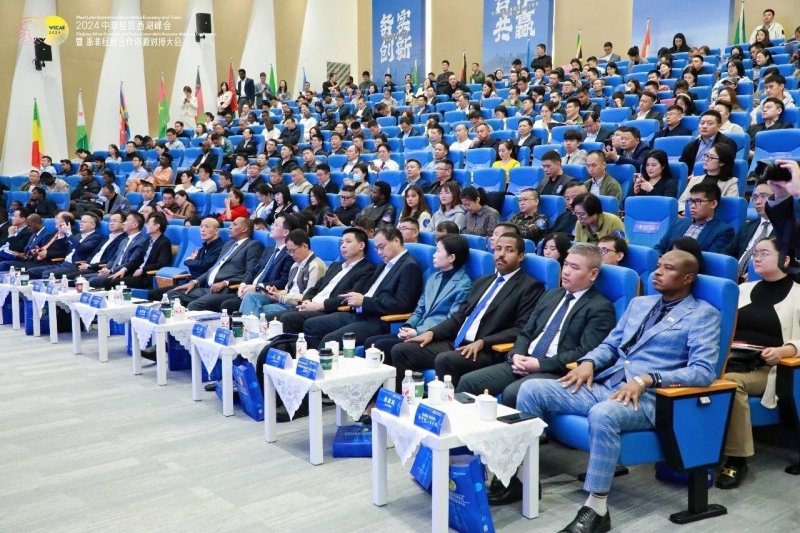 11月19日，杭州——2025中非经贸西湖大会：助力中国企业稳健出海非洲