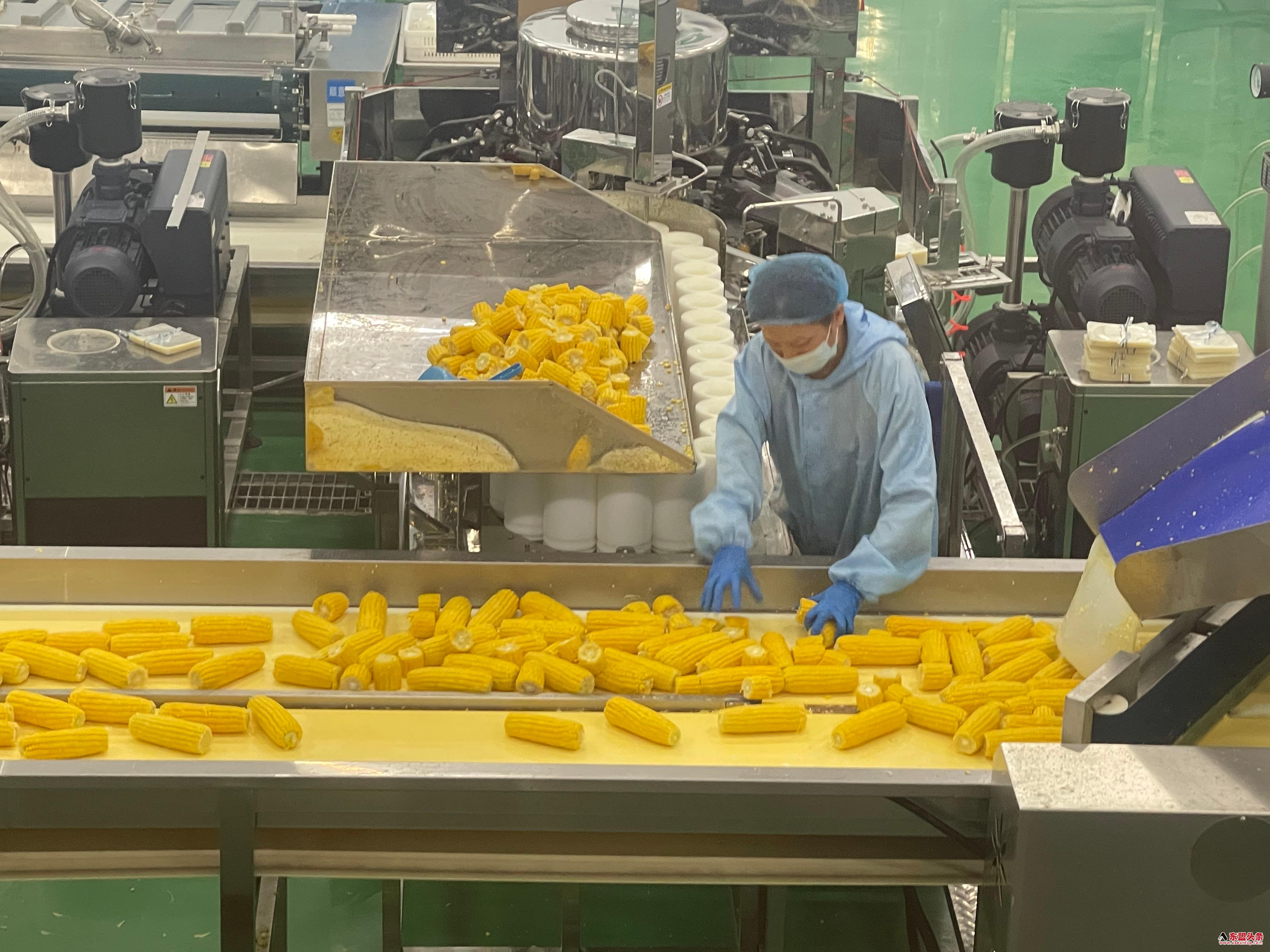 广西象州打造跨境冷链“高速路” 壮乡农产品“鲜”行东盟