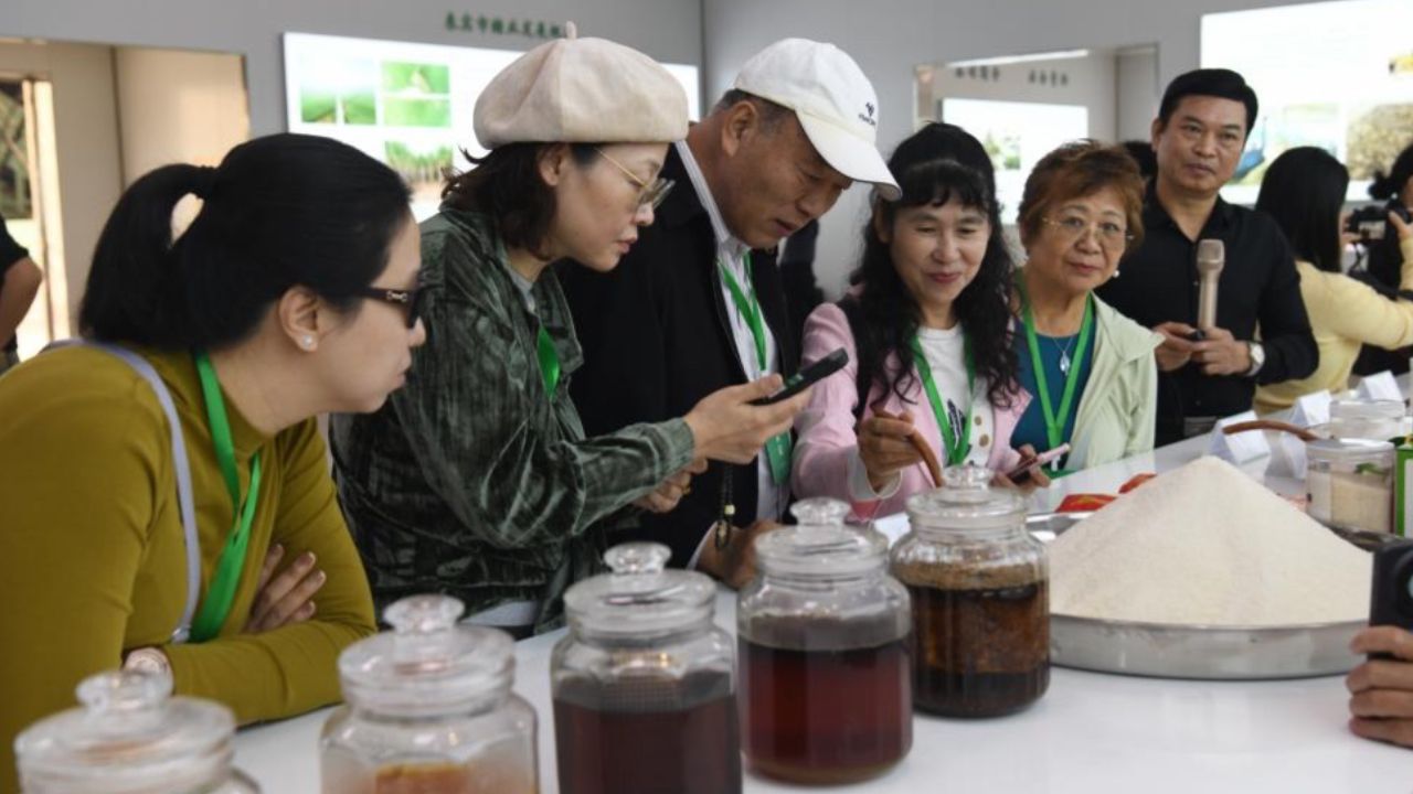 广西来宾“甜蜜事业”升级：一根甘蔗“两头甜”撬动百亿产业链