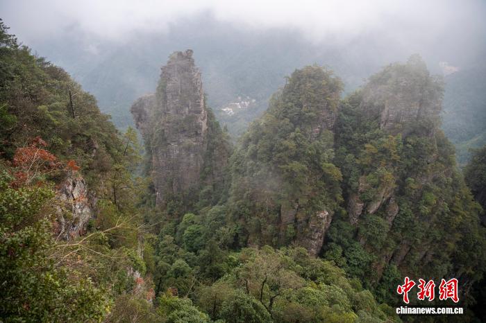 广西大瑶山盘王界景区云雾缭绕如水墨画