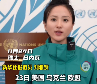 美乌欧日内瓦会谈 各方分歧明显