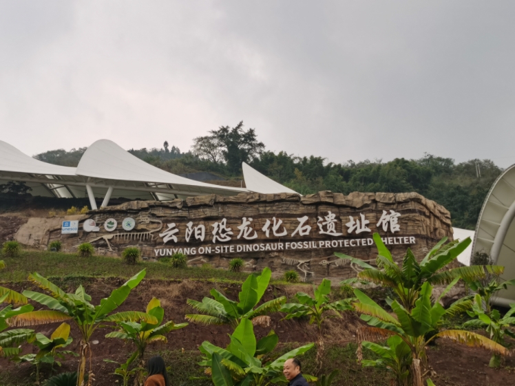 来云阳！看世界上最长的恐龙化石墙
