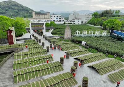 福建省新增两个国家地理标志保护示范区