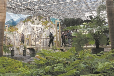 “全城园博”板凳会走进侨乡文成