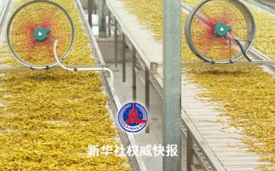 五连增！中国地理标志产品直接年产值接近1万亿元