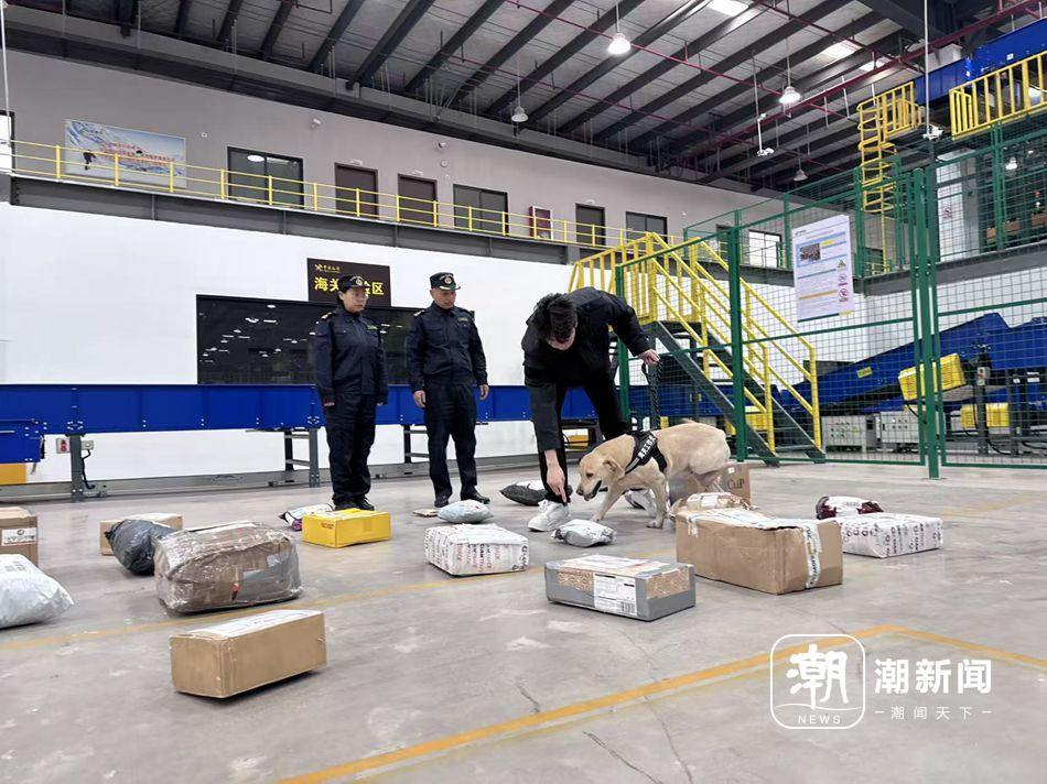 全省第一！2025年义乌国际邮件互换局出口邮件超1100万件