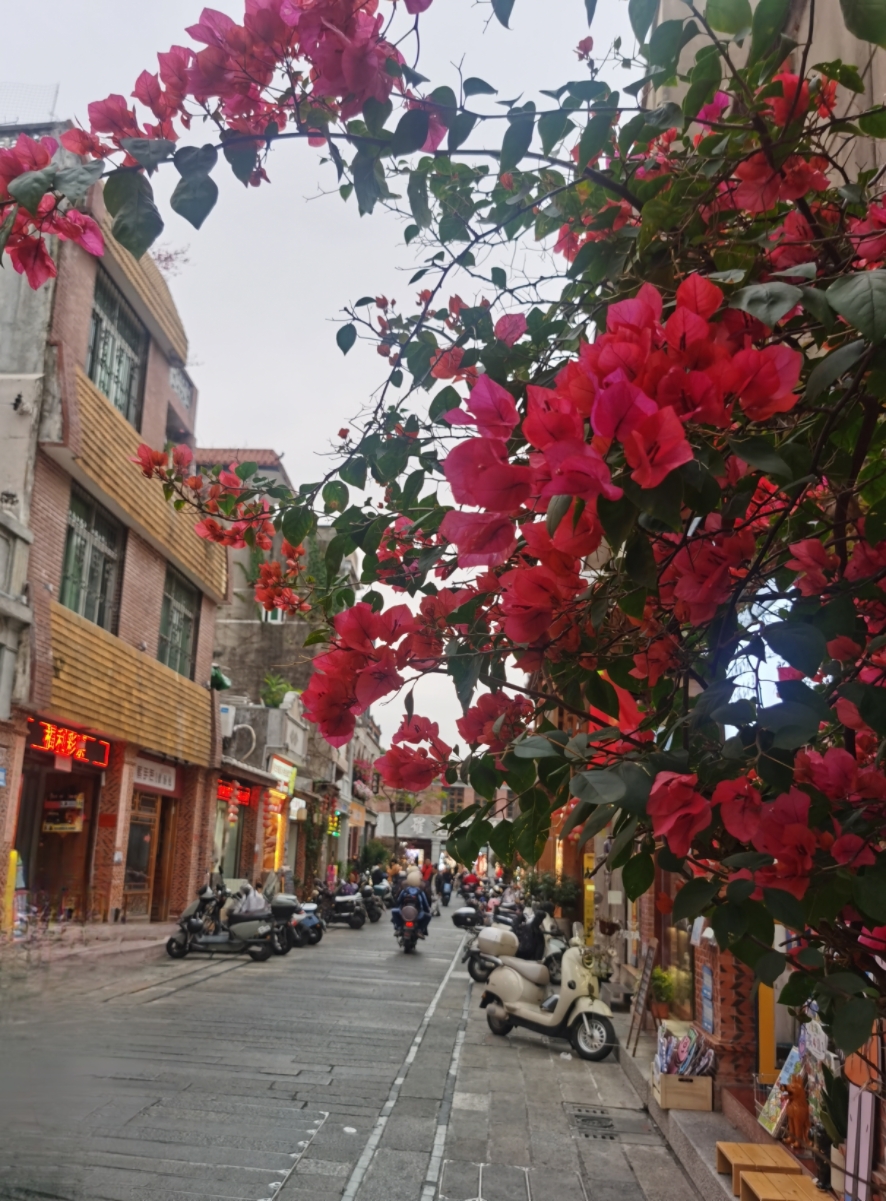 在泉州，在开元寺