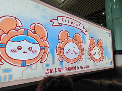 中国：“旗舰店”“官方”“授权”不能随便标