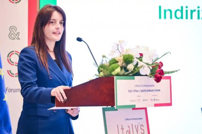 进军大众市场的意大利葡萄酒：前景几何？