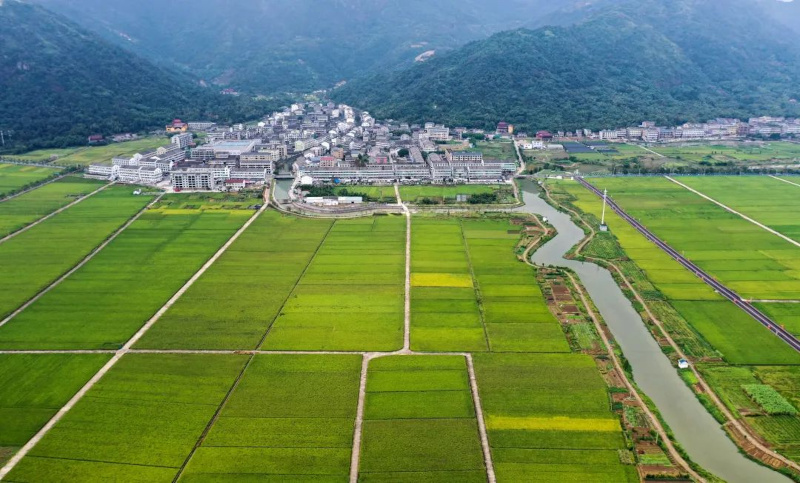 瑞安发布新一年“三万”行动方案 让闲置资源“活”起来