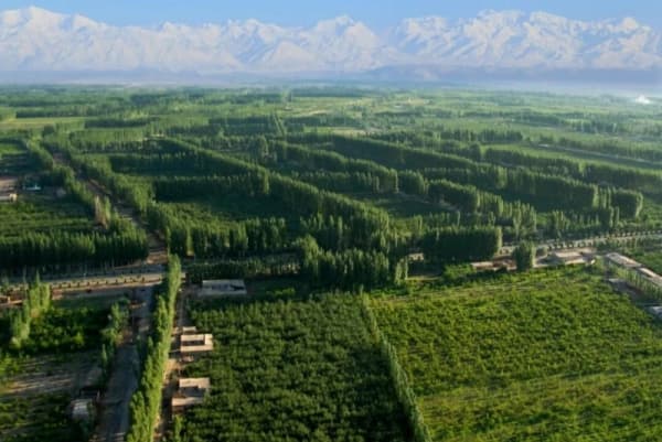 柯柯牙纪念馆获评全国爱国主义教育示范基地