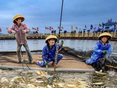宁德海上养殖这样“绿”起来