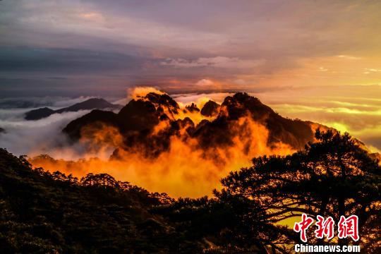 300多名境外旅行商来皖寻合作谋发展