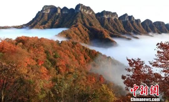 图为光雾山美景。 钟欣 摄 图为光雾山美景。 钟欣 摄