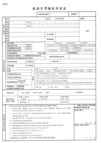 华人回中国持国际驾照开车被罚 可换领中国驾照