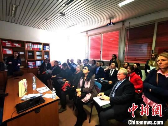 中国侨网海外交流医师团在意大利参加学术交流会议。受访者供图