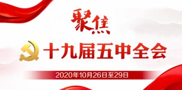 海外侨胞热议十九届五中全会：点赞“十三五”结硕果 期盼“十四五”新航程