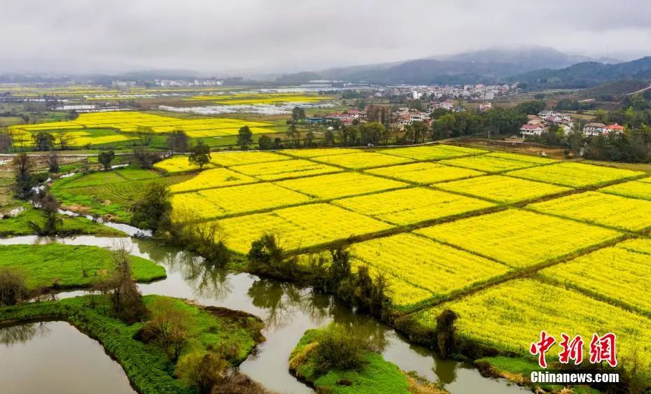 “数字乡村”有多火？听代表委员们说……