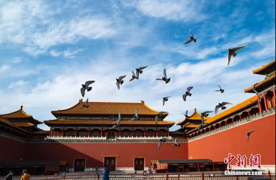 资料图：一群鸽子在北京故宫博物院午门外广场展翅飞翔。<a target='_blank' href='http://www.chinanews.com/'>中新社</a>记者 侯宇 摄