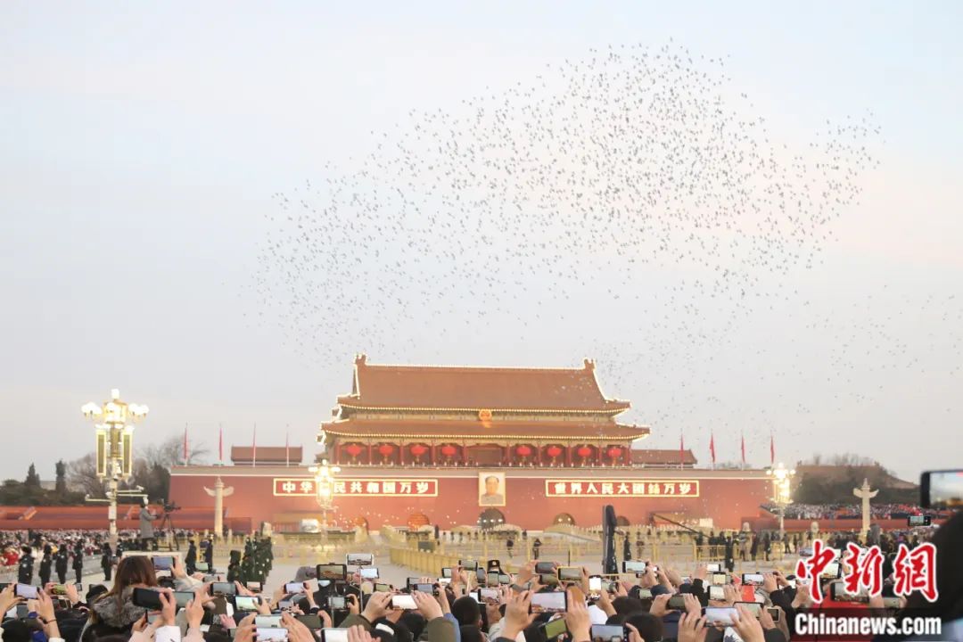 2022年1月1日，北京天安门广场举行升旗仪式，和平鸽在广场上空飞翔。<a target='_blank' href='http://www.chinanews.com/'>中新社</a>记者 易海菲 摄