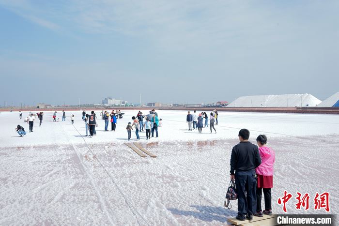 资料图为游客在天津长芦汉沽盐场体验“盐业风情游”。 <a target='_blank' href='/'>中新社</a>记者 佟郁 摄