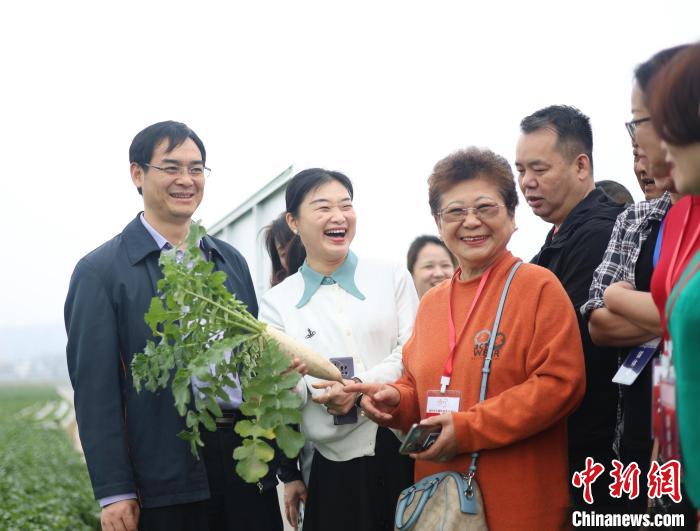 图为参访团探访重庆潼南桂林蔬菜基地。　李可怡 摄