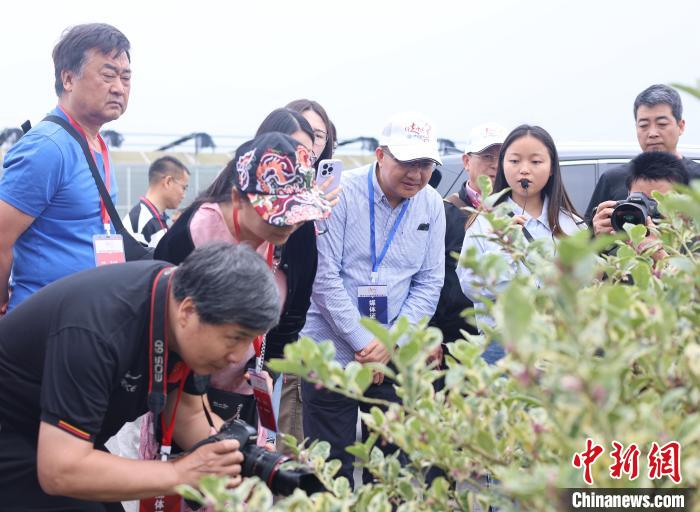 图为参访团探访重庆潼南柠檬脱毒种苗繁育中心。　李可怡 摄