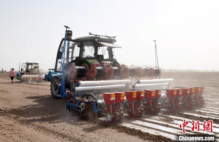 新疆喀什地区巴楚县115万亩棉花播种工作已全面铺开。　孙亭文 摄