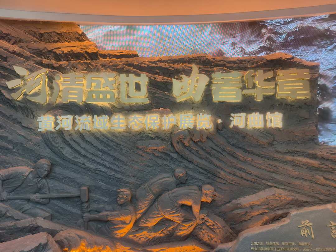 行走中国·“忻”之所向｜海外华文媒体探访河曲馆，品读黄河治理的时代答卷
